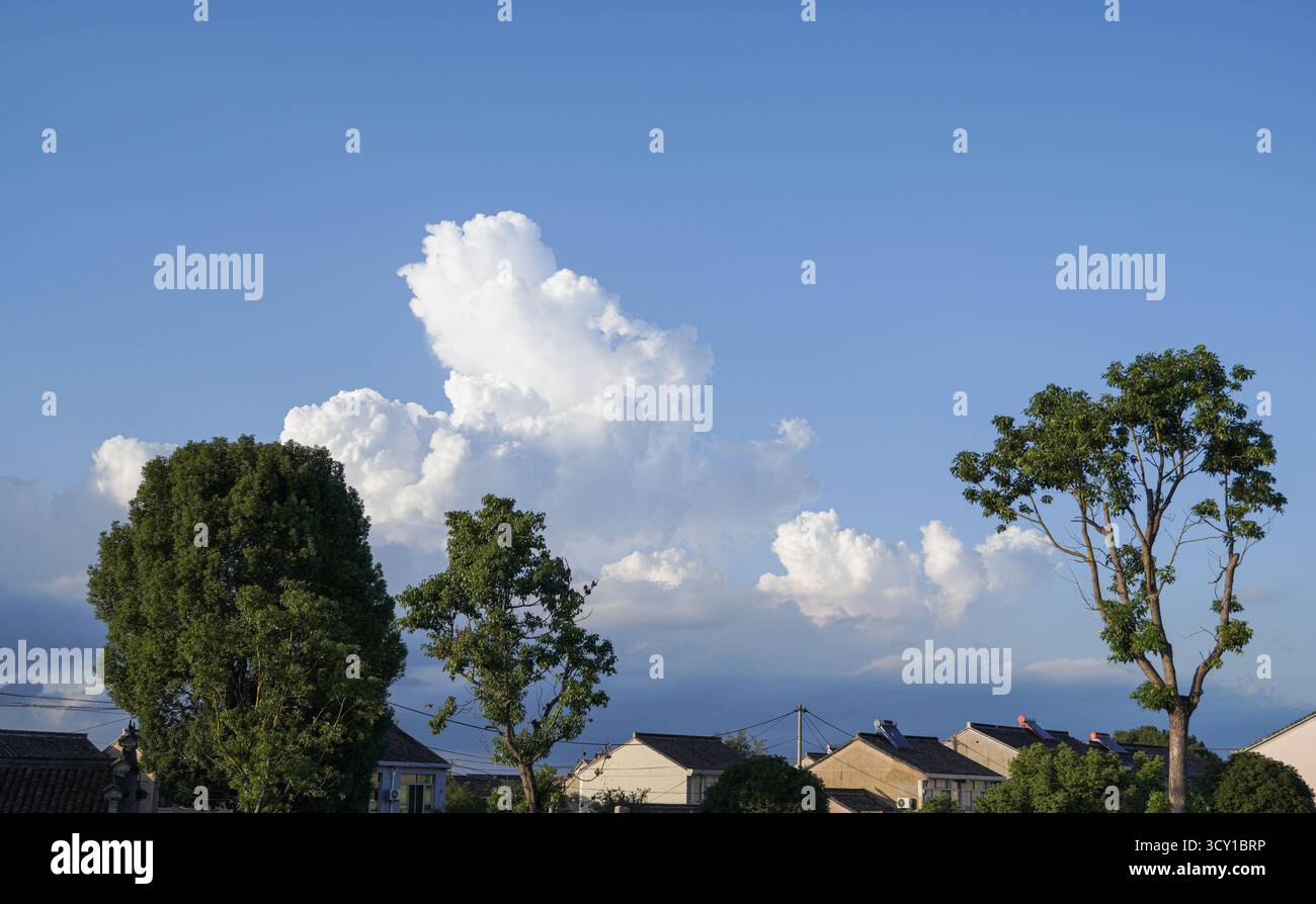 Large white clouds in a blue sky, with trees below Stock Photo