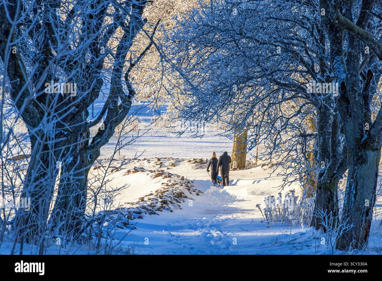 Pair walking with a dog on a snowy footpath in a wintry landscape Stock Photo