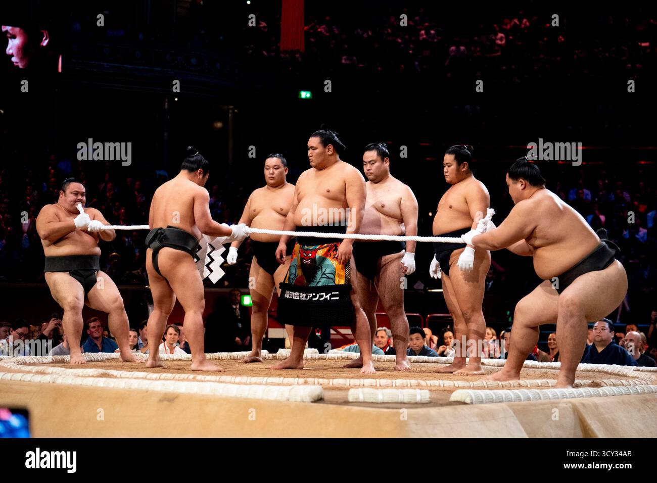 Yokozuna Hoshoryu Forced to Withdraw from Summer Basho Due to Muscle Tear