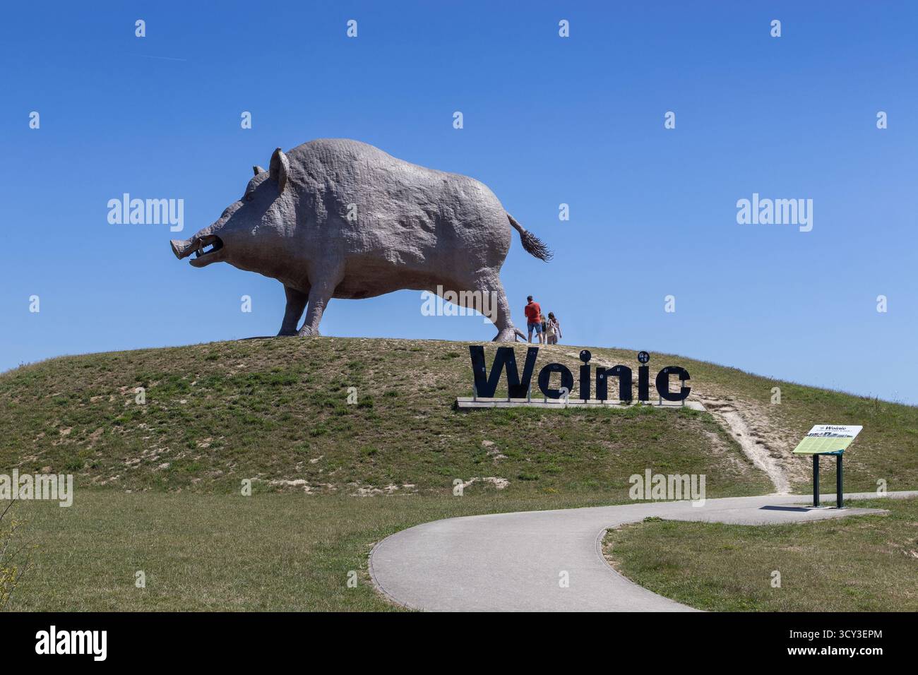 RETHEL, FRANCE, 10 JULY 2025: Woinic 'the largest boar in the world', public art at Saulces-Monclin Ardennes motorway service area. A tourist attracti - Stock Image