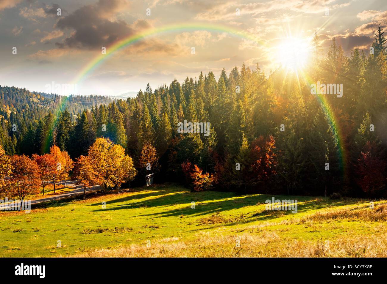 autumn landscape with road through valley at sunset near coniferous forest with trees in colorful leaves. beautiful countryside scene in mountains. sc Stock Photo