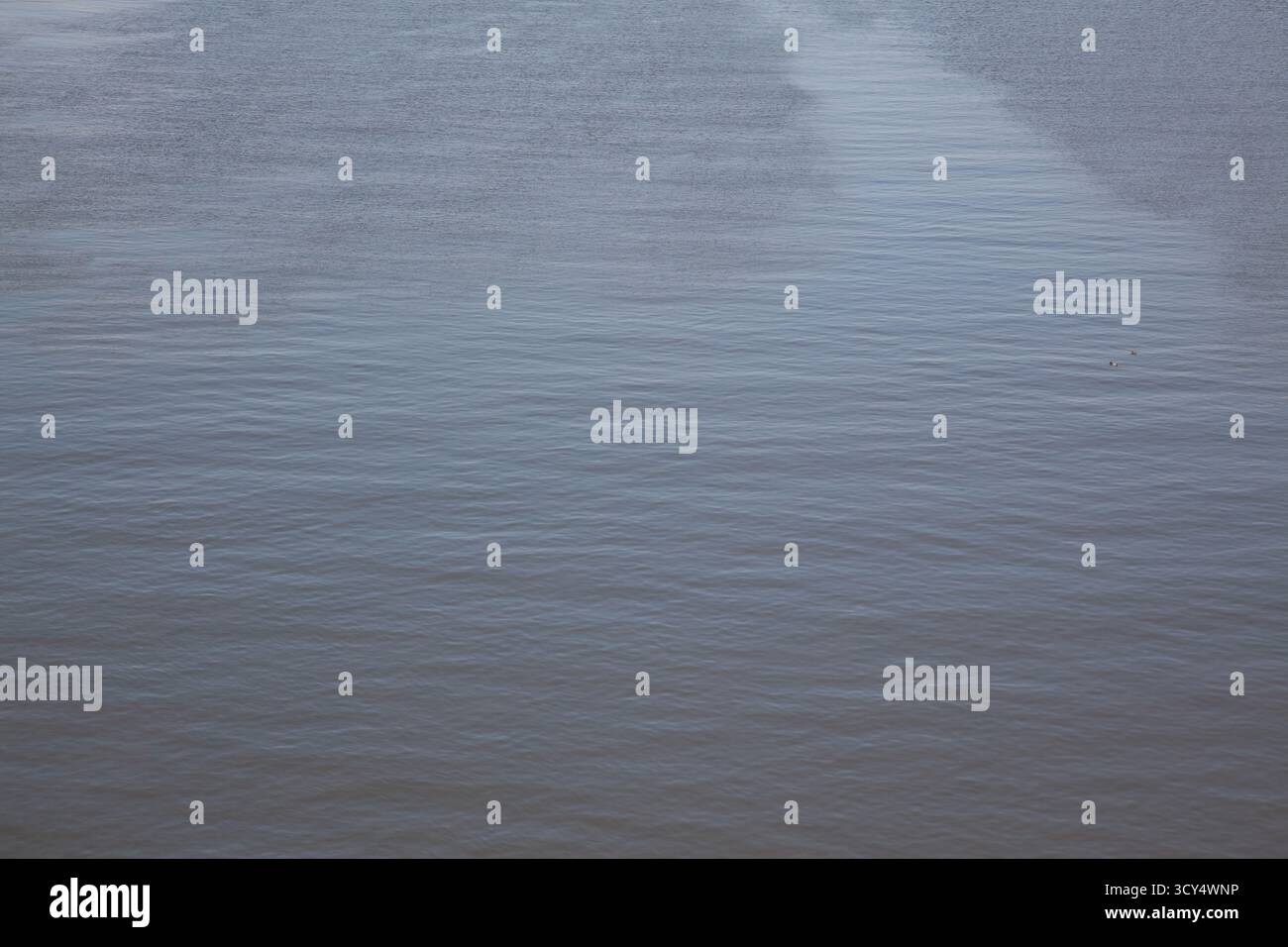 Curated visual reference: Visual Reference: The Surface Of The River Shows A Smooth Reflective Texture