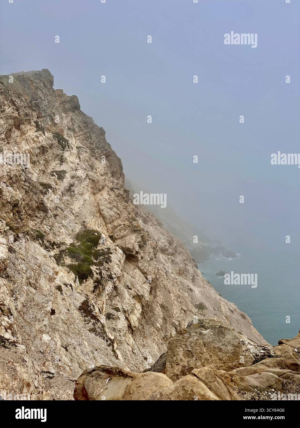Misty Cliffs and Pacific Ocean at Point Reyes, California - Smartphone Captured Stock Image
