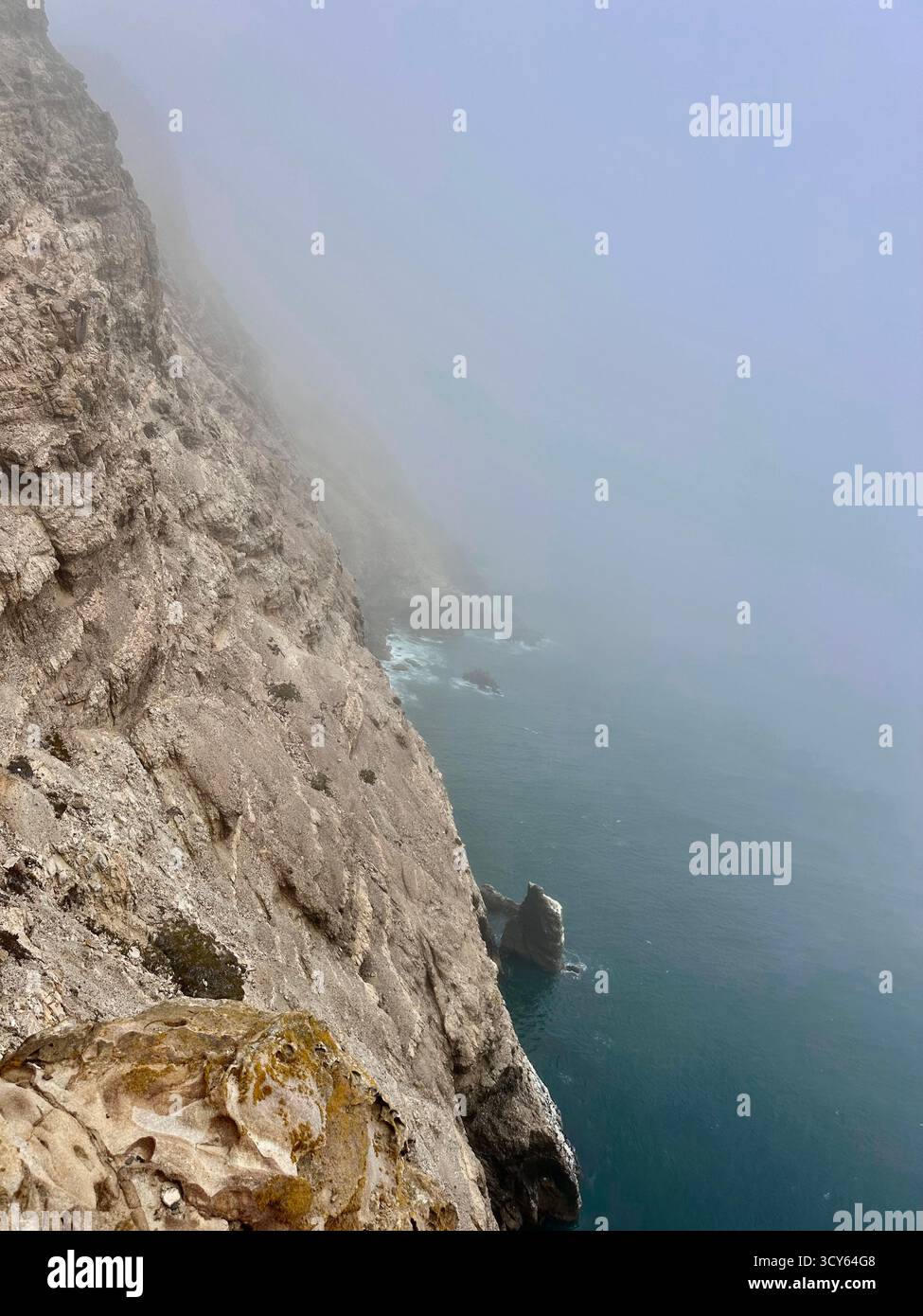 Misty Cliffs and Pacific Ocean at Point Reyes, California - Smartphone Captured Stock Image