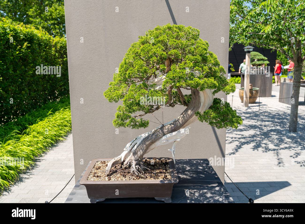 terrassendielen aus bambus Bambus Terrassendielen Bangkirai Farbige Holzdecken 185cm