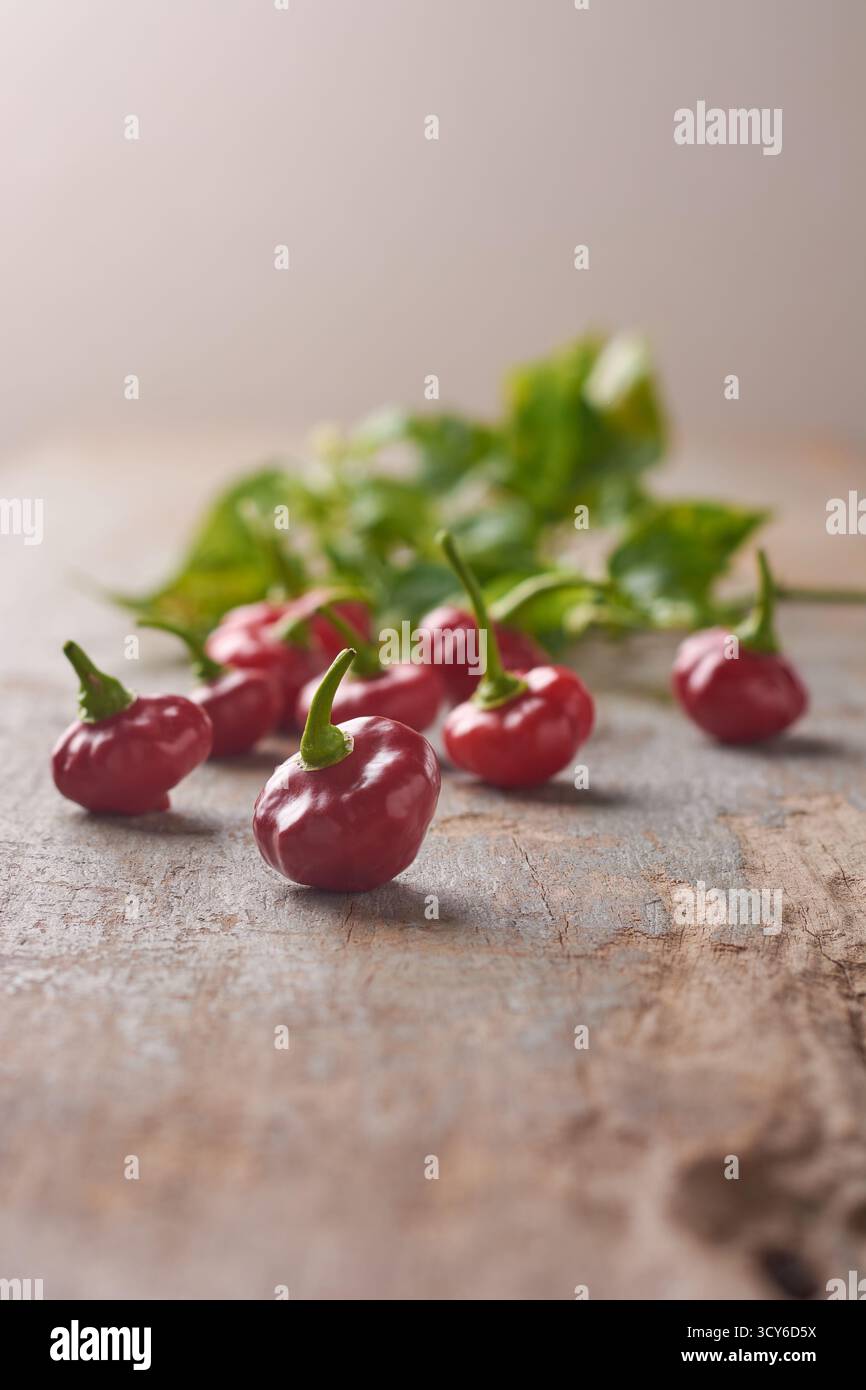 close-up of red rocoto chilies scattered on a rustic wooden surface, soft focus green leaves in background, copy space for text, warm vintage Stock Photo
