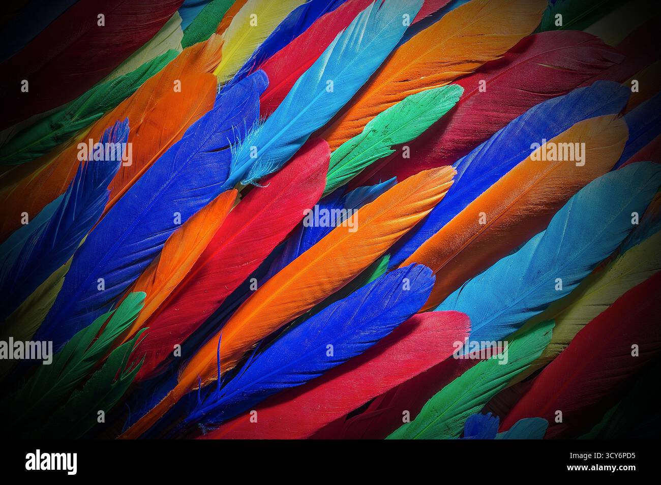 Vibrant feathers in blue, red, orange, green, and yellow arranged in a dense, overlapping pattern. Stock Photo