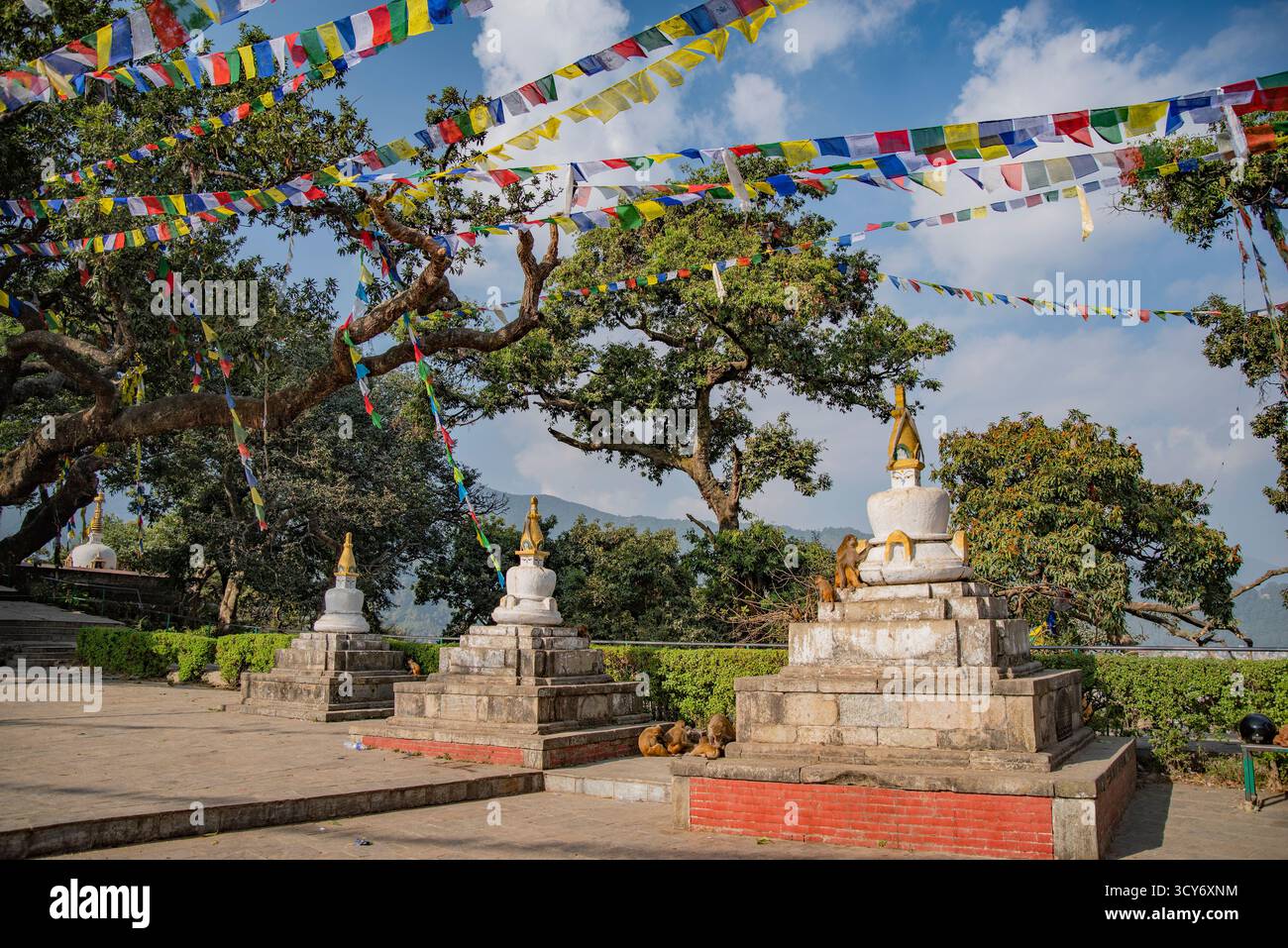 Buddha stupas in Kathmandu monastery. Nepal Stock Photo - Alamy