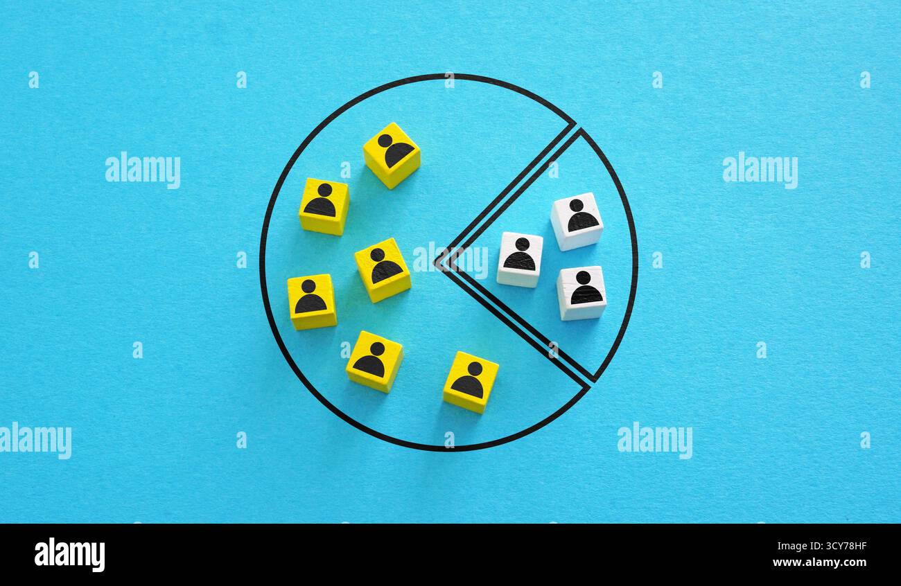 Market segmentation concept. Target audience and customer analysis ...