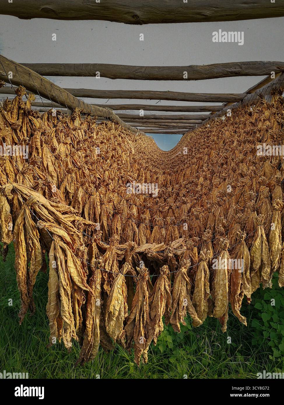 how to remove tobacco smell from house How to remove smoke smell from house?