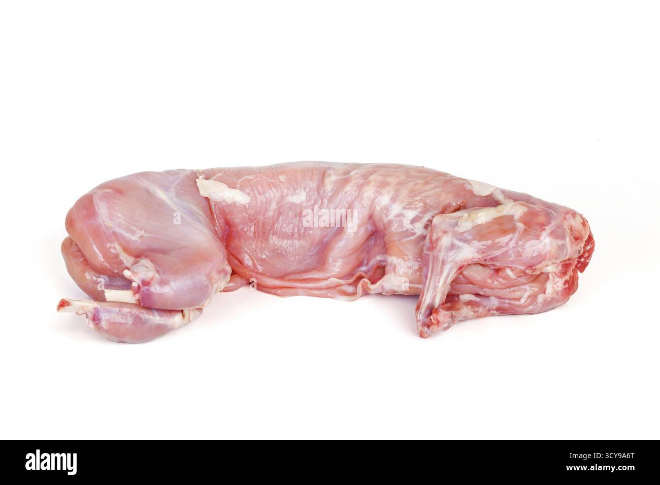 Raw rabbit isolated on white background Stock Photo