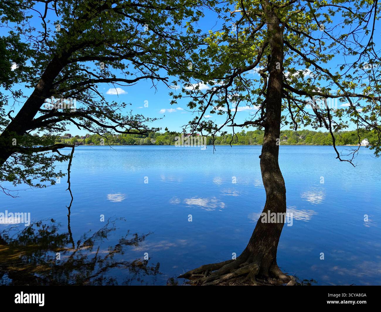 Peaceful lake surrounded trees hi-res stock photography and images - Alamy
