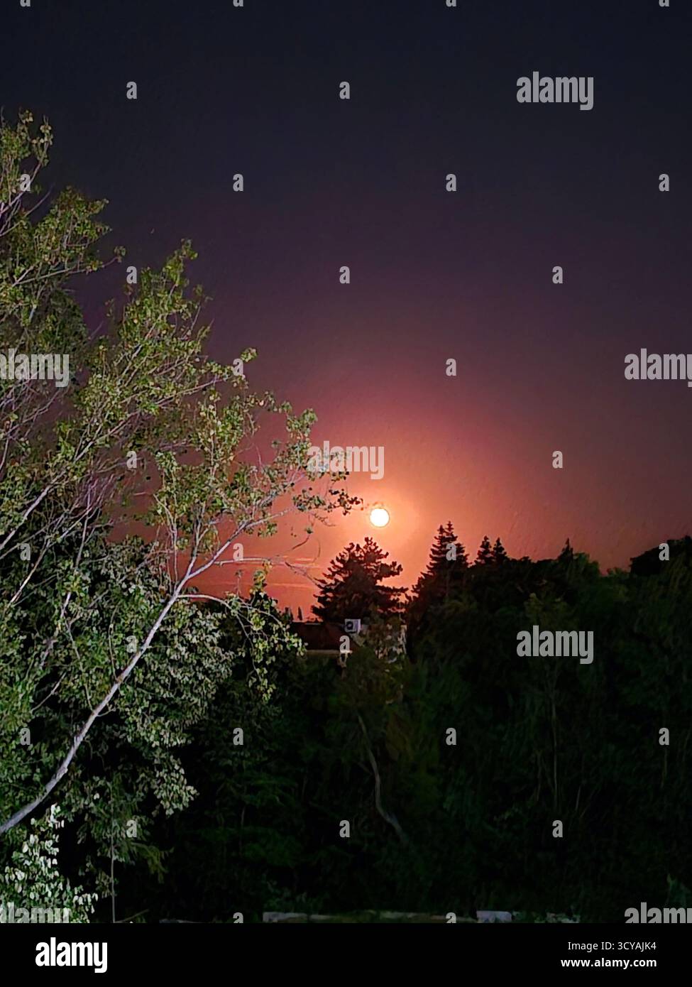 The sky is painted in deep shades of purple and pink. The magic of twilight. The pink moon. - Smartphone Captured Stock Image