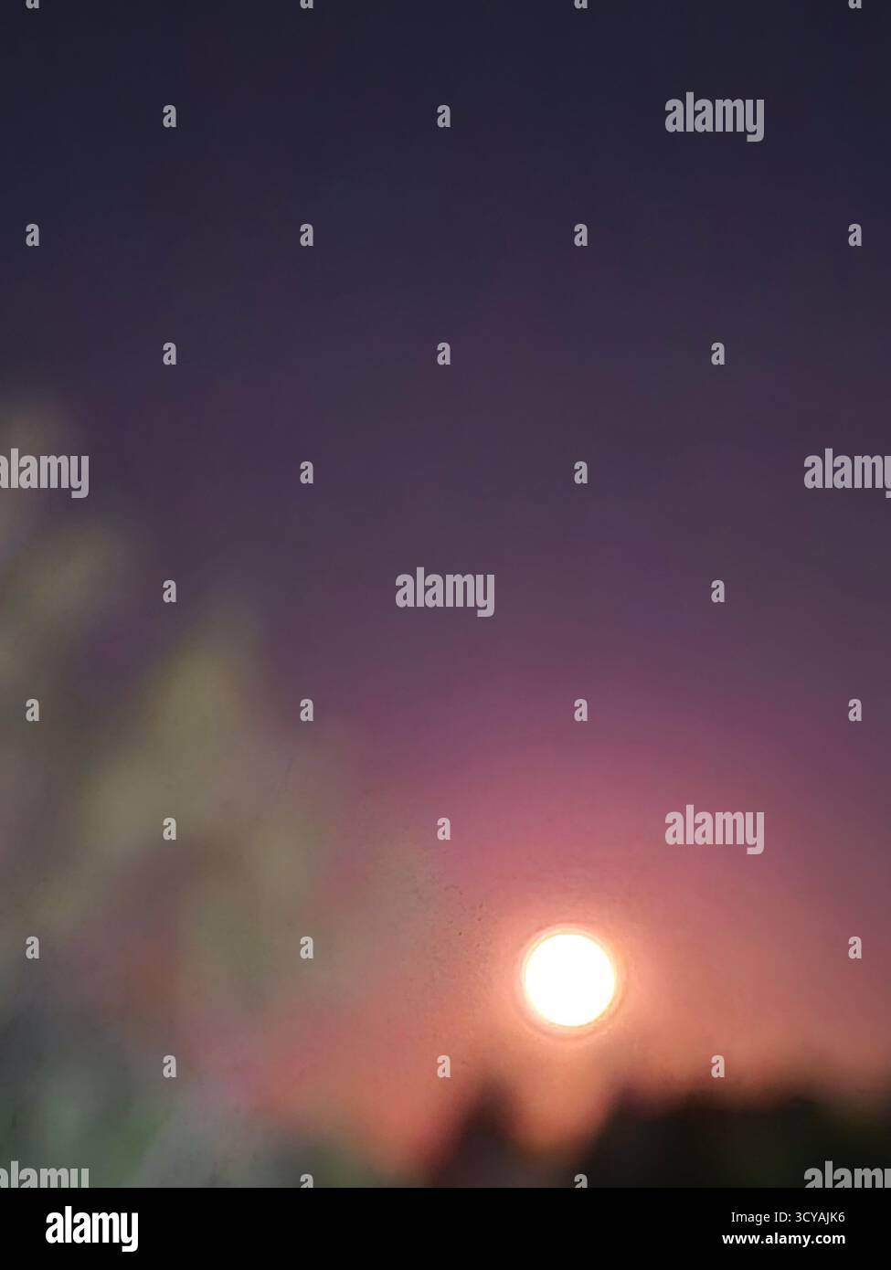 The sky is painted in deep shades of purple and pink. The magic of twilight. The pink moon. - Smartphone Captured Stock Image