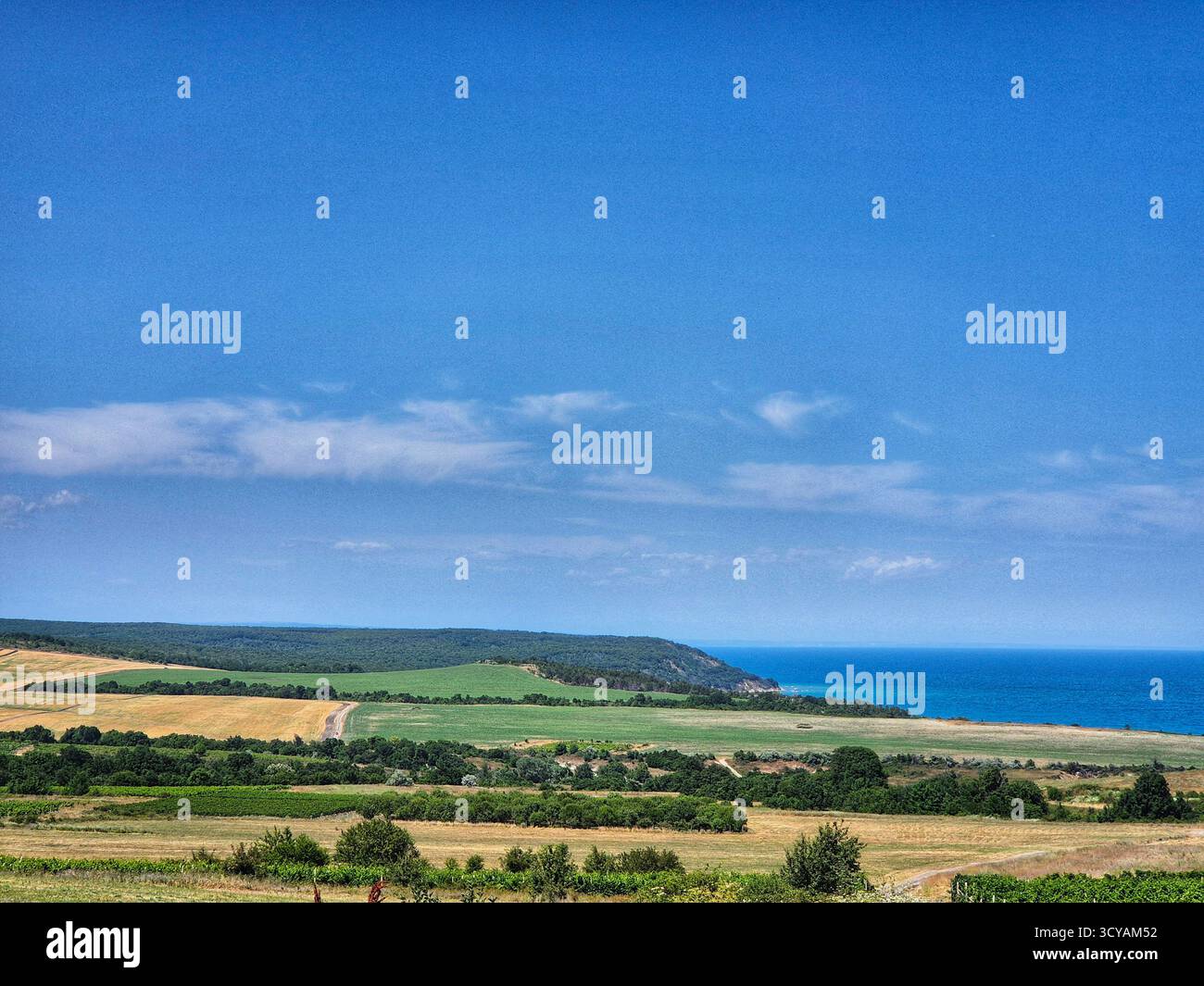Emerald green vineyards, fields, blue sea and boundless sky. The idyll of the southern coast - Smartphone Captured Stock Image