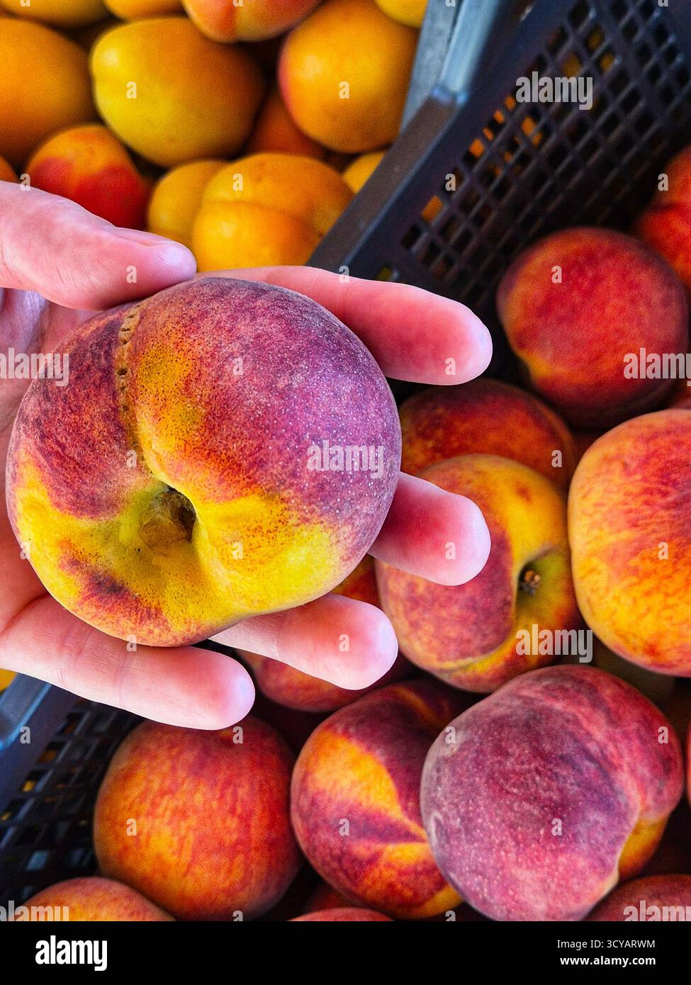 woman holding a ripe peaches - Smartphone Captured Stock Image