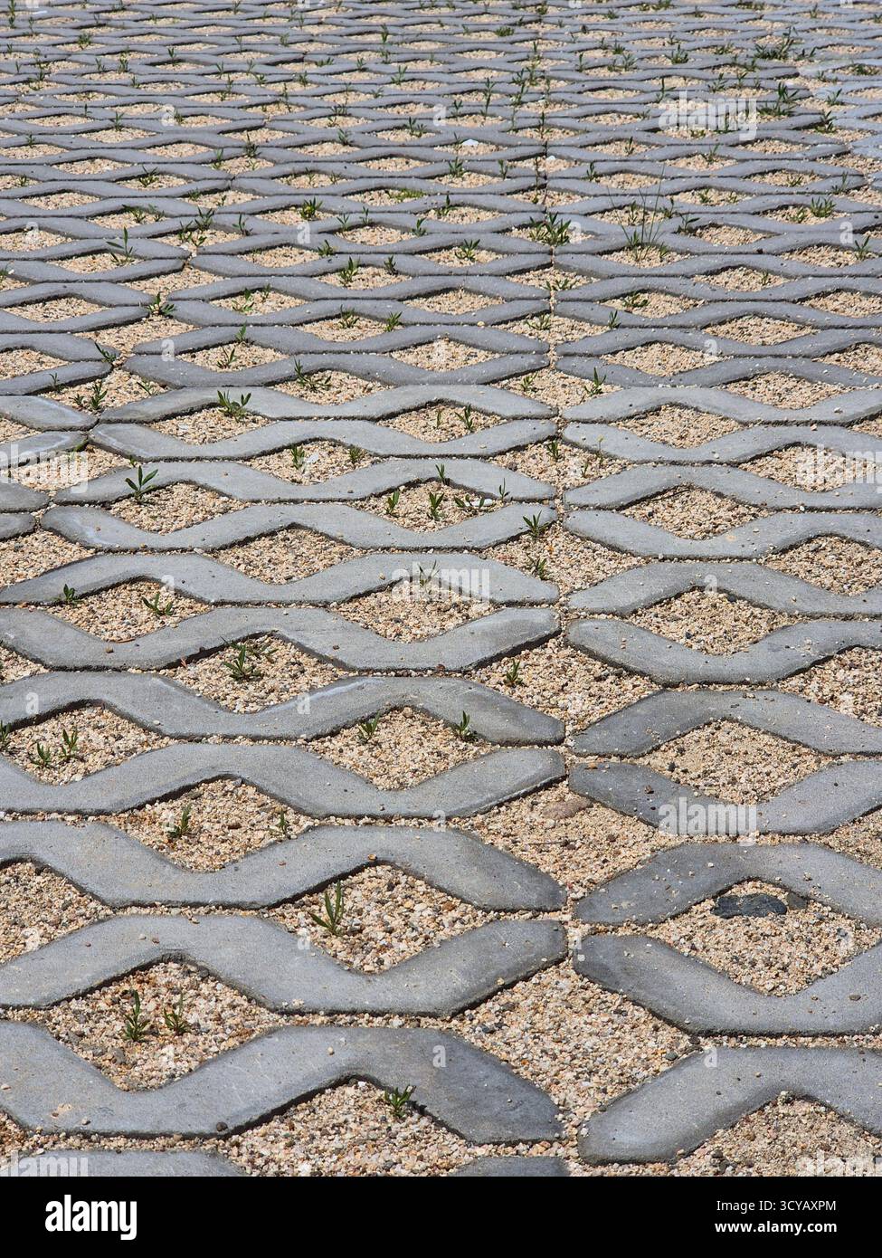 concrete diamond block sidewalk overgrown with grass - Smartphone Captured Stock Image