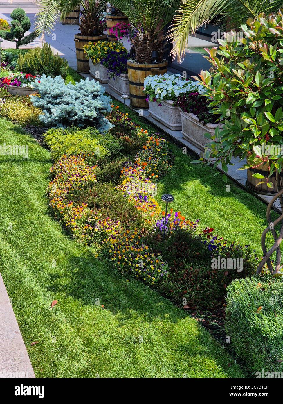 decorative flowers. beautiful flower bed - Smartphone Captured Stock Image