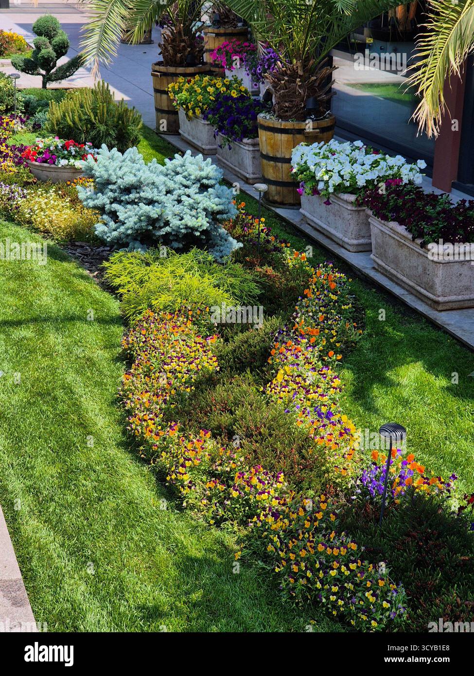 decorative flowers. beautiful flower bed - Smartphone Captured Stock Image