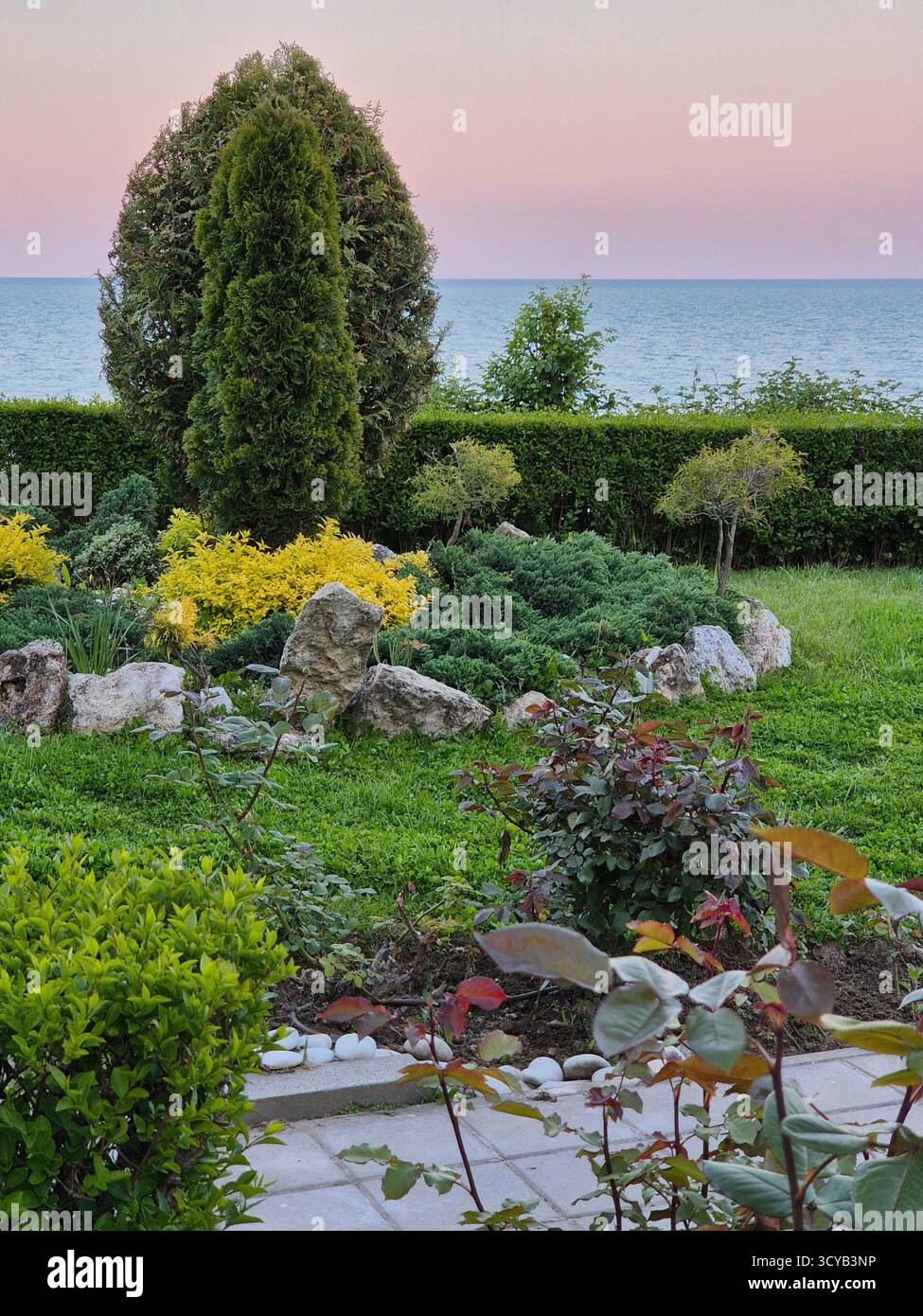 Beauty of nature. a beautiful view of a park surrounded the sea under the sunlight - Smartphone Captured Stock Image