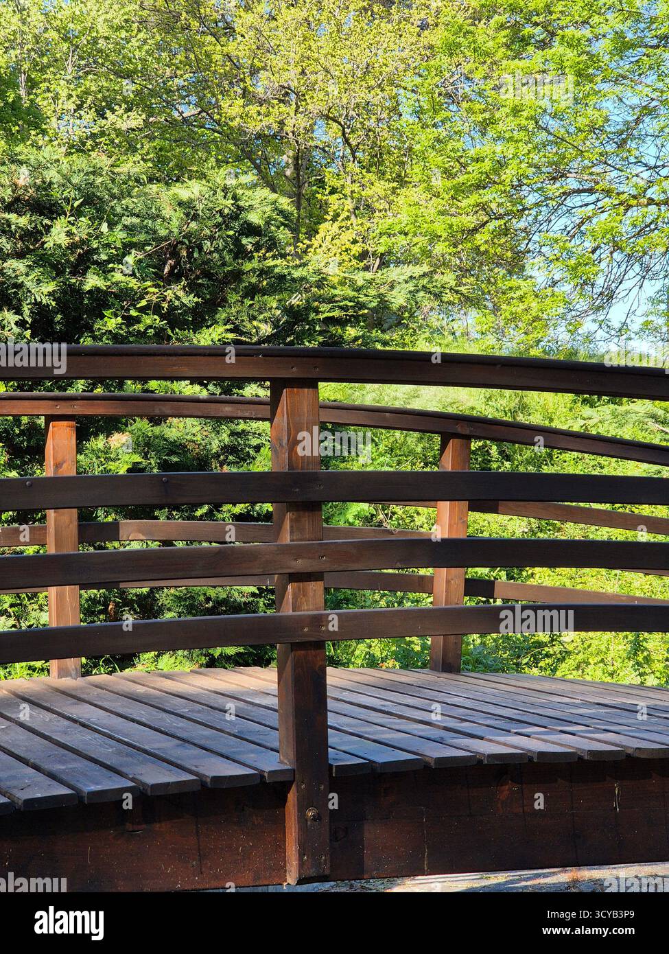 Wooden bridge in the park. beauty of nature - Smartphone Captured Stock Image