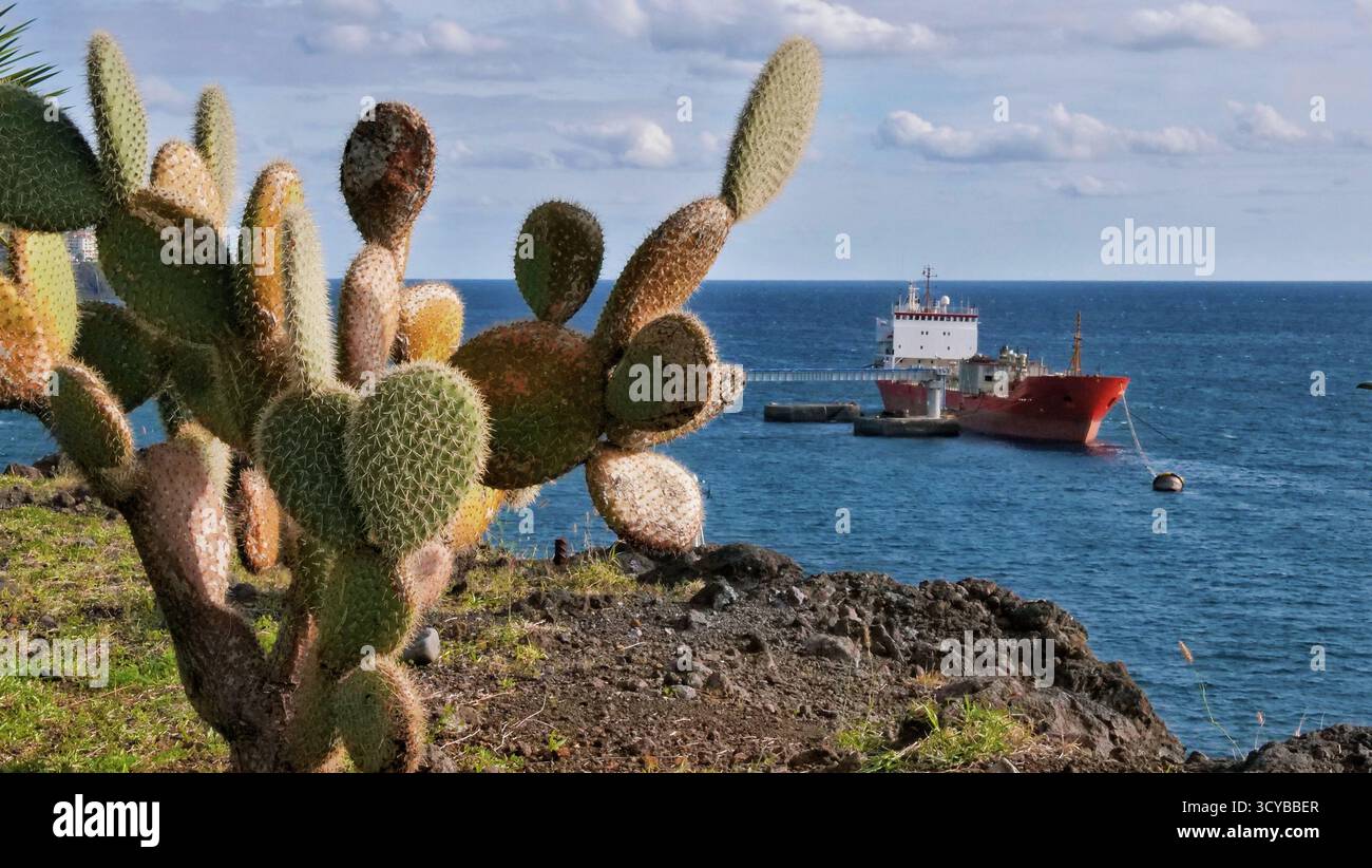 Ocean ocean cactus coastal hi-res stock photography and images - Alamy