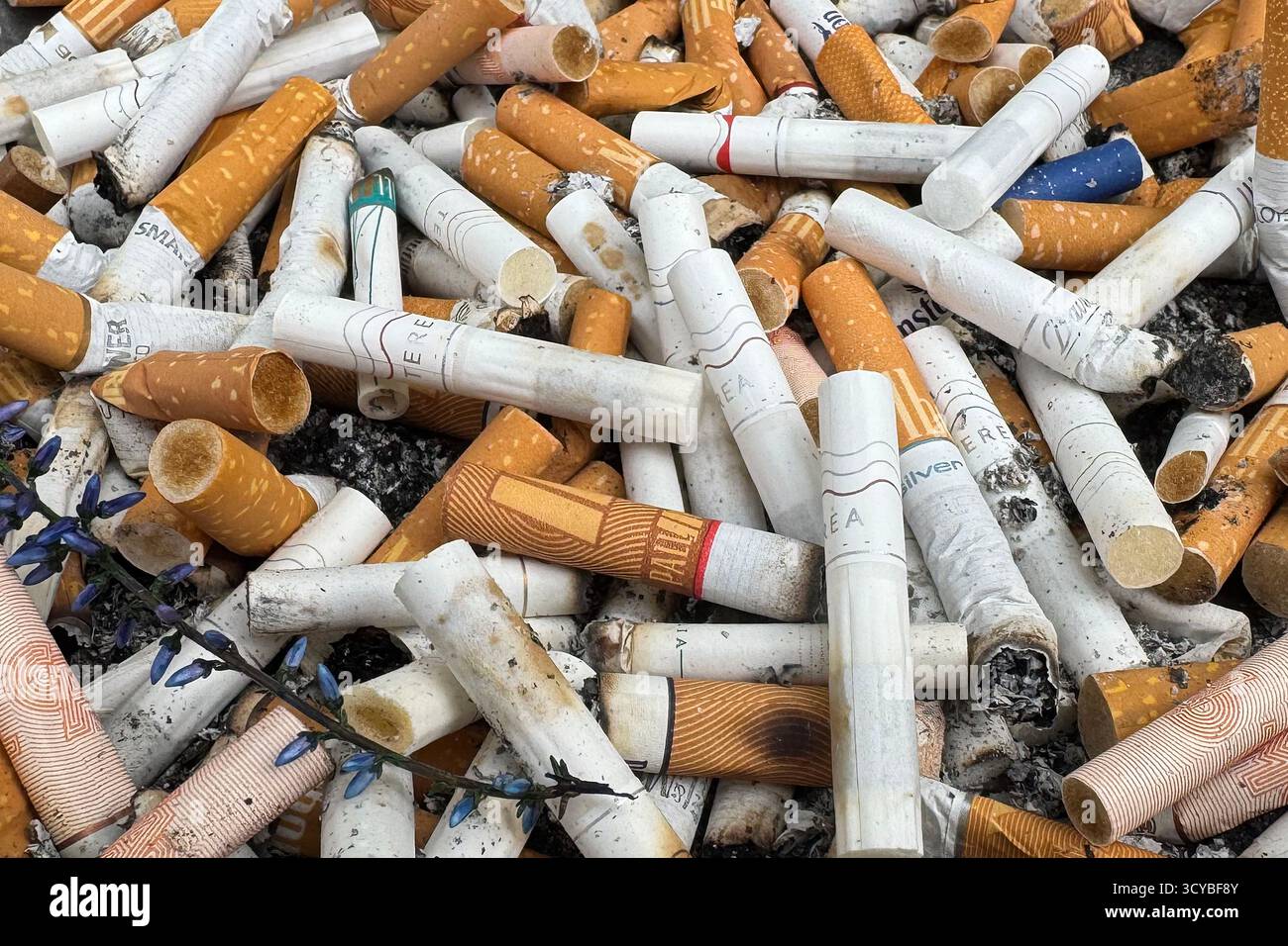 Munich, Deutschland. 18th Oct, 2025. Symbolic photo of smoking, cigarette  butts, cigarette butts, cigarette sticks, full ashtray, cigarette, vice,  addiction, drug. Credit: dpa/Alamy Live News Stock Photo
