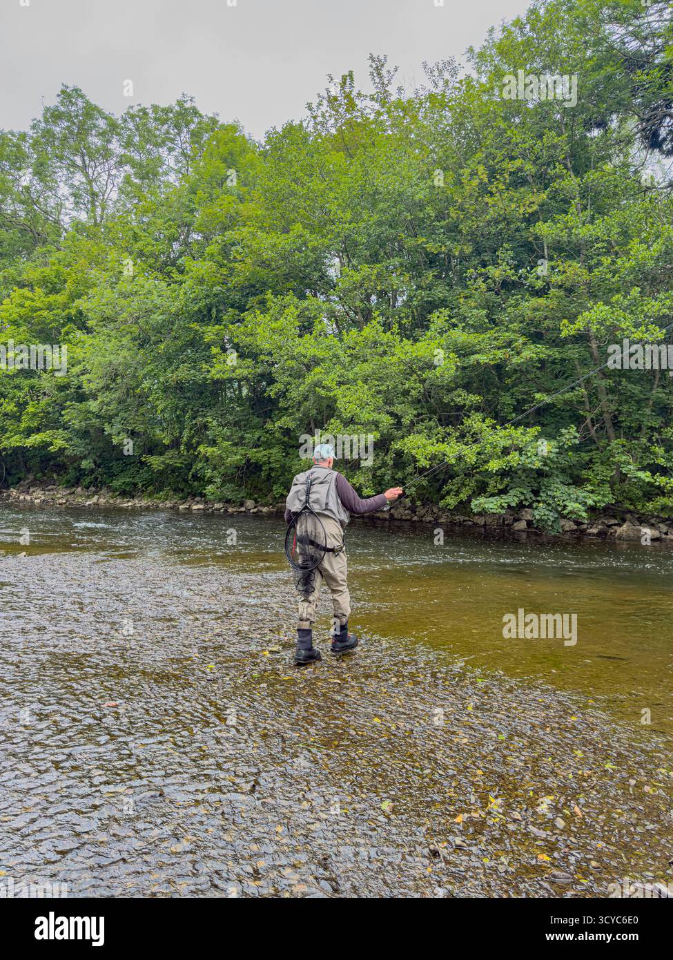 Senior Man on Waders fishing with a rod on the River Severn in Newtown, Powys, Wales, United Kingdom, June 2025: Phillip Roberts - Smartphone Captured Stock Image