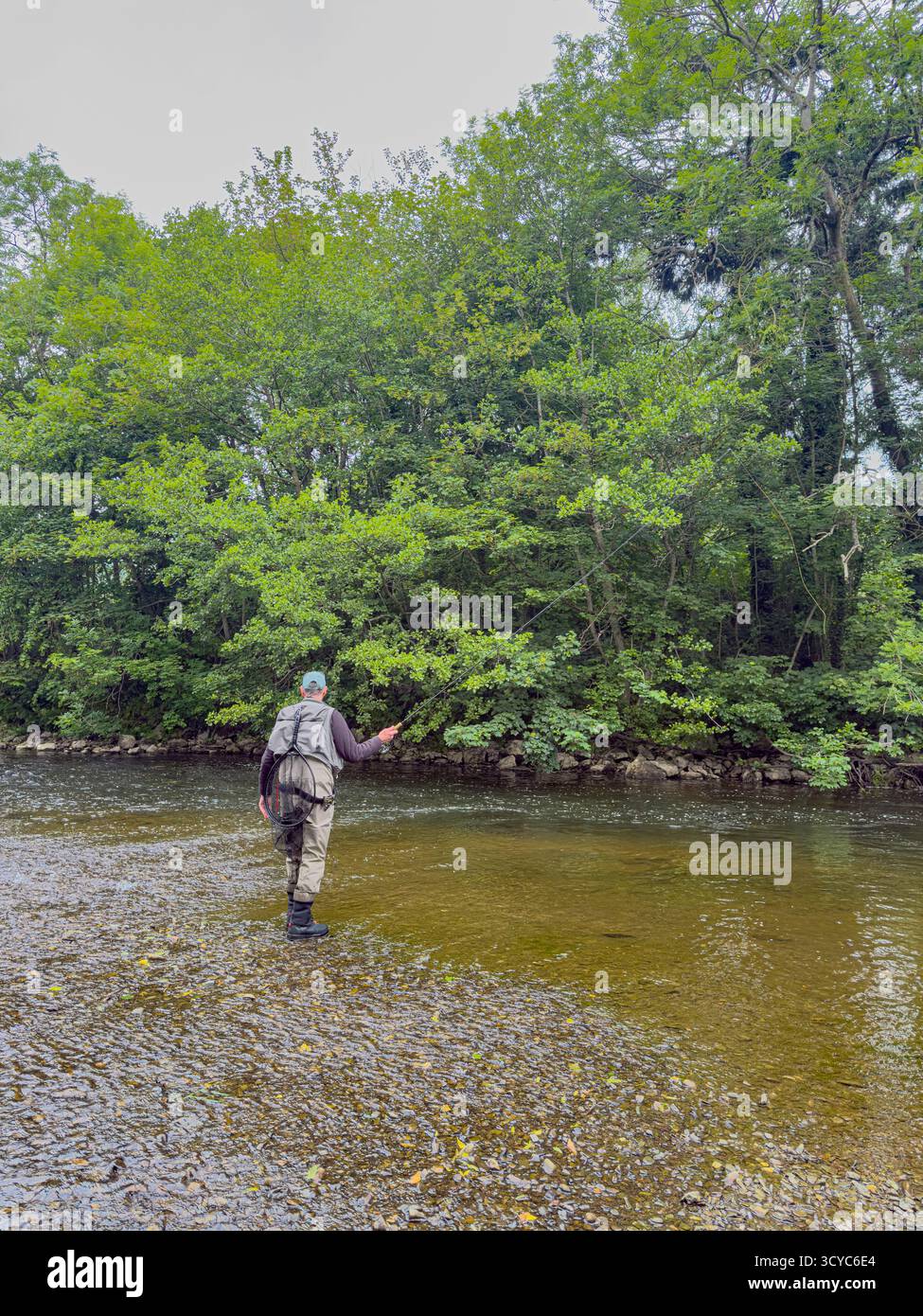 Senior Man on Waders fishing with a rod on the River Severn in Newtown, Powys, Wales, United Kingdom, June 2025: Phillip Roberts - Smartphone Captured Stock Image