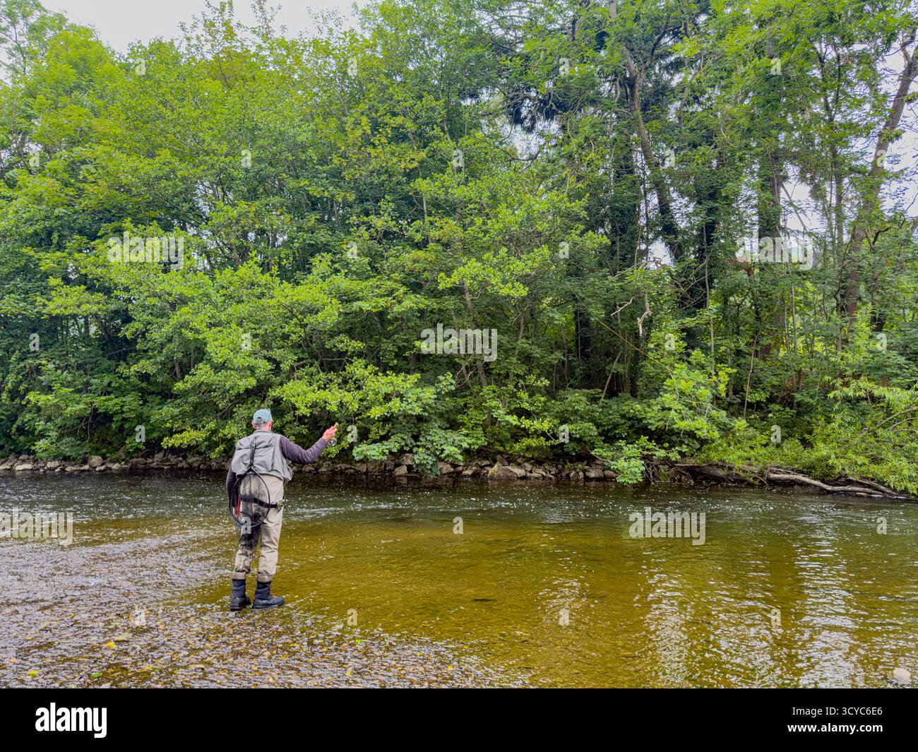 Senior Man on Waders fishing with a rod on the River Severn in Newtown, Powys, Wales, United Kingdom, June 2025: Phillip Roberts - Smartphone Captured Stock Image
