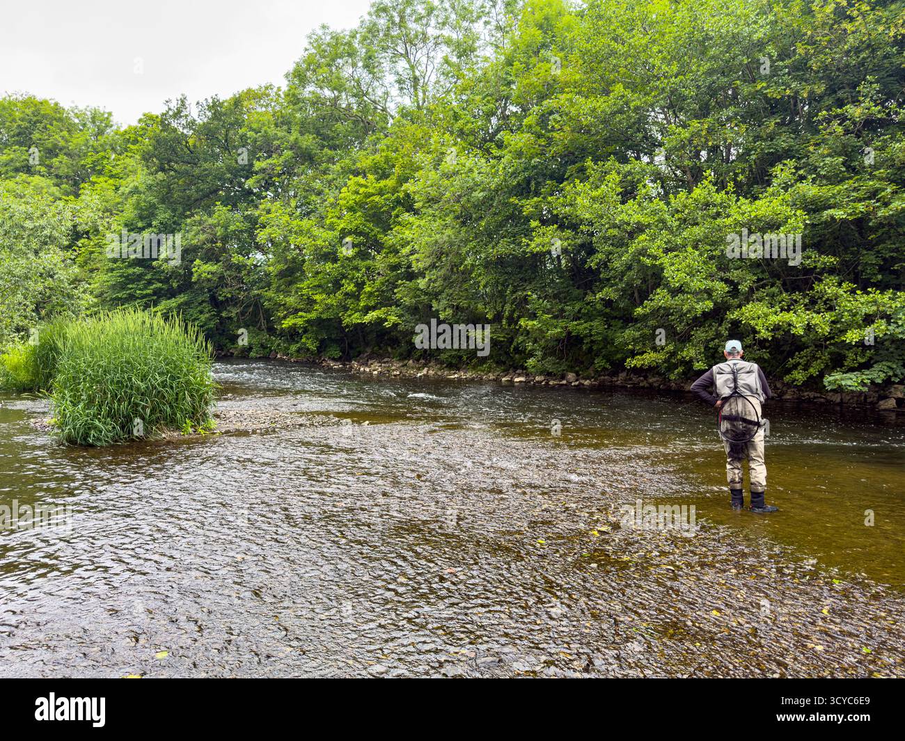 Senior Man on Waders fishing with a rod on the River Severn in Newtown, Powys, Wales, United Kingdom, June 2025: Phillip Roberts - Smartphone Captured Stock Image