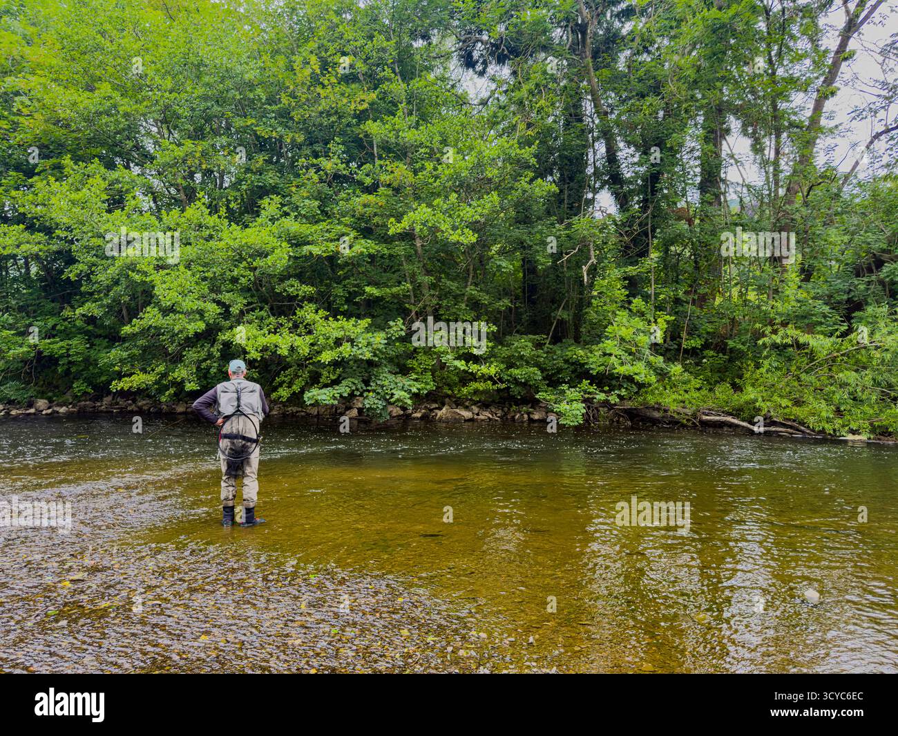 Senior Man on Waders fishing with a rod on the River Severn in Newtown, Powys, Wales, United Kingdom, June 2025: Phillip Roberts - Smartphone Captured Stock Image