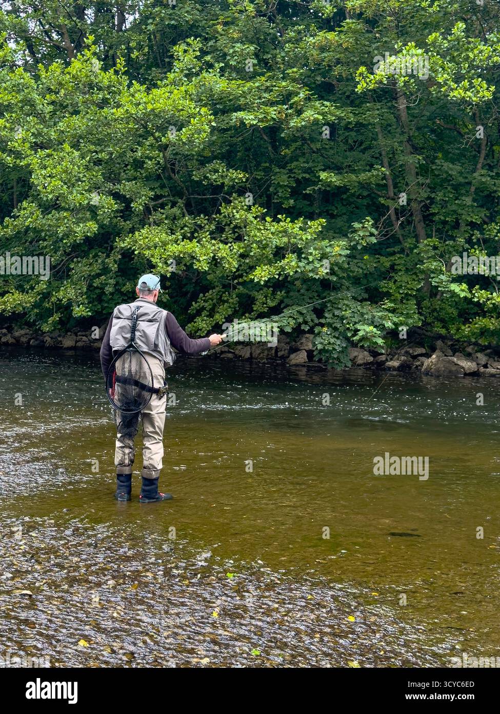 Senior Man on Waders fishing with a rod on the River Severn in Newtown, Powys, Wales, United Kingdom, June 2025: Phillip Roberts - Smartphone Captured Stock Image