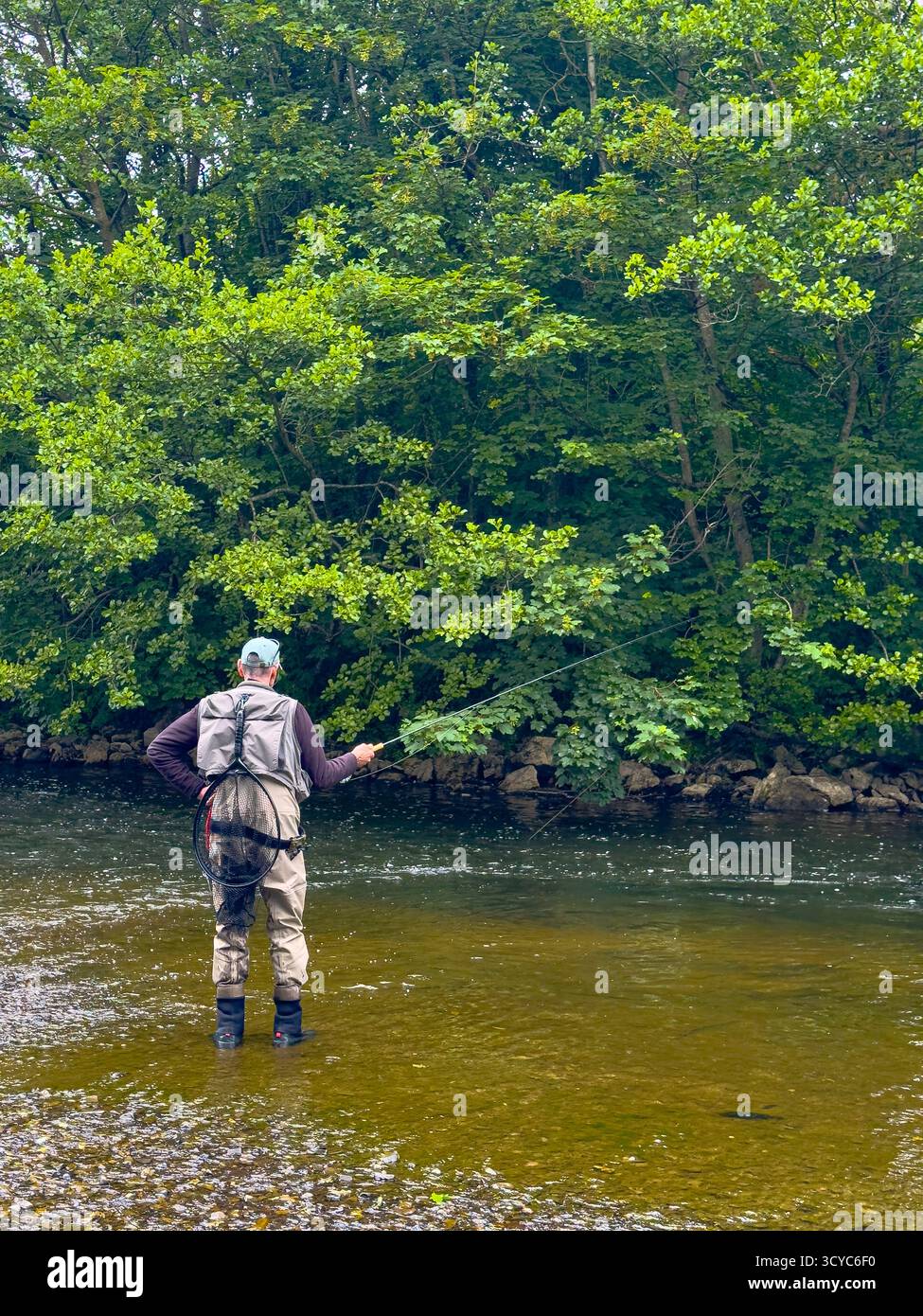 Senior Man on Waders fishing with a rod on the River Severn in Newtown, Powys, Wales, United Kingdom, June 2025: Phillip Roberts - Smartphone Captured Stock Image