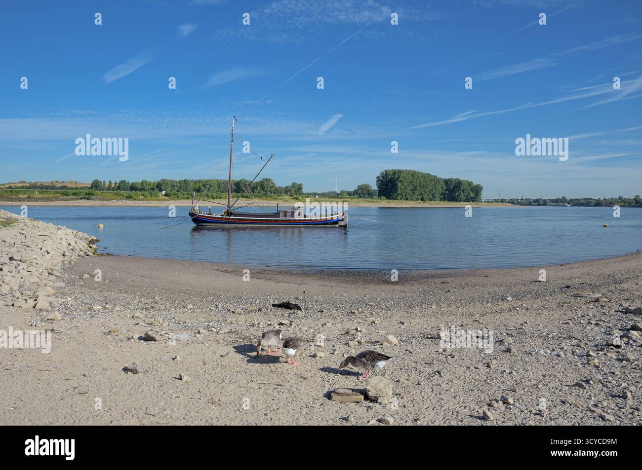 Historic Traditional Eel Fishing Boat Called Aalschokker Rhine River 