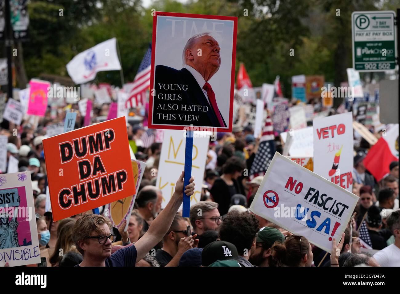 People hold signs and flags during a