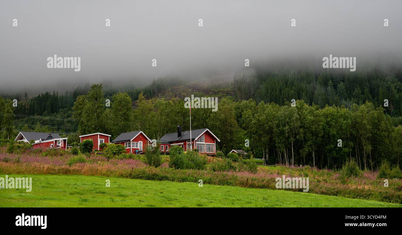 Traditional red houses blend into the tranquil green countryside, surrounded by trees and a soft fog that blankets the landscape. This peaceful scene Stock Photo