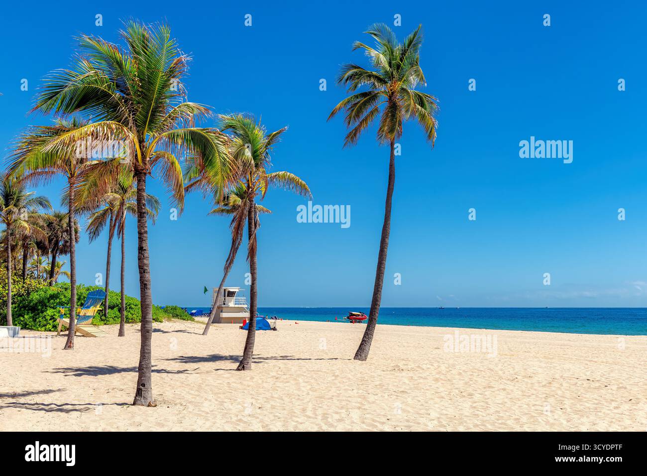 Tropical beach. Palm trees on sunny tropical beach and blue ocean in Fort Lauderdale, Florida Stock Photo