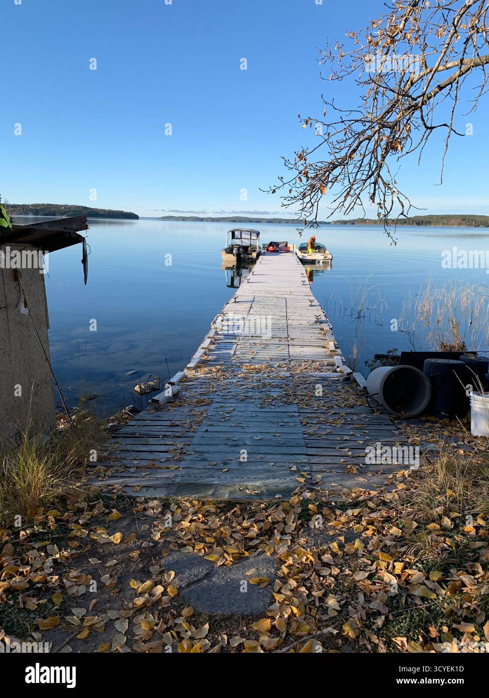 ''Wooden dock with boats on a calm northern lake under a clear blue sky, tranquil autumn morning in Canada.'' - Smartphone Captured Stock Image