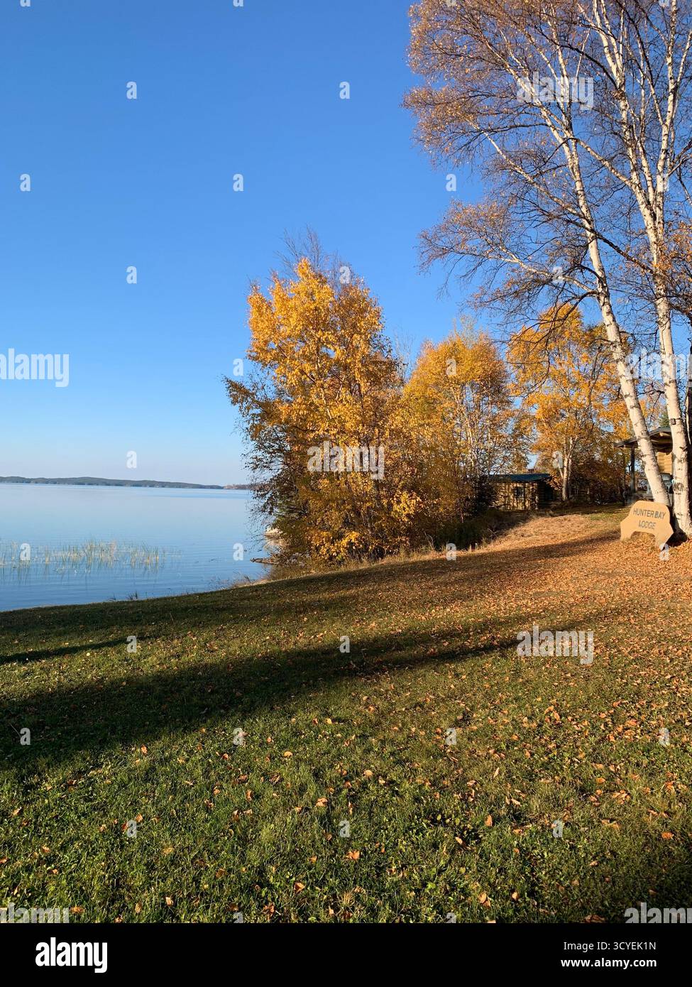 A tranquil lake sunset illuminates fall foliage in a peaceful golden light. - Smartphone Captured Stock Image