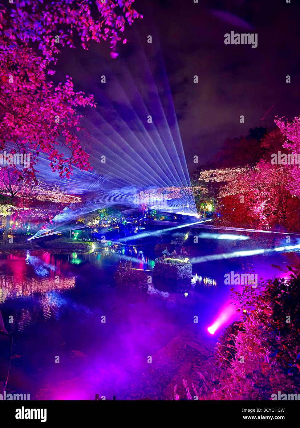 Light show of Rivington Festival of Light at the Japanese  Lake and Kitchen Gardens, near Chorley in Lancashire - Smartphone Captured Stock Image