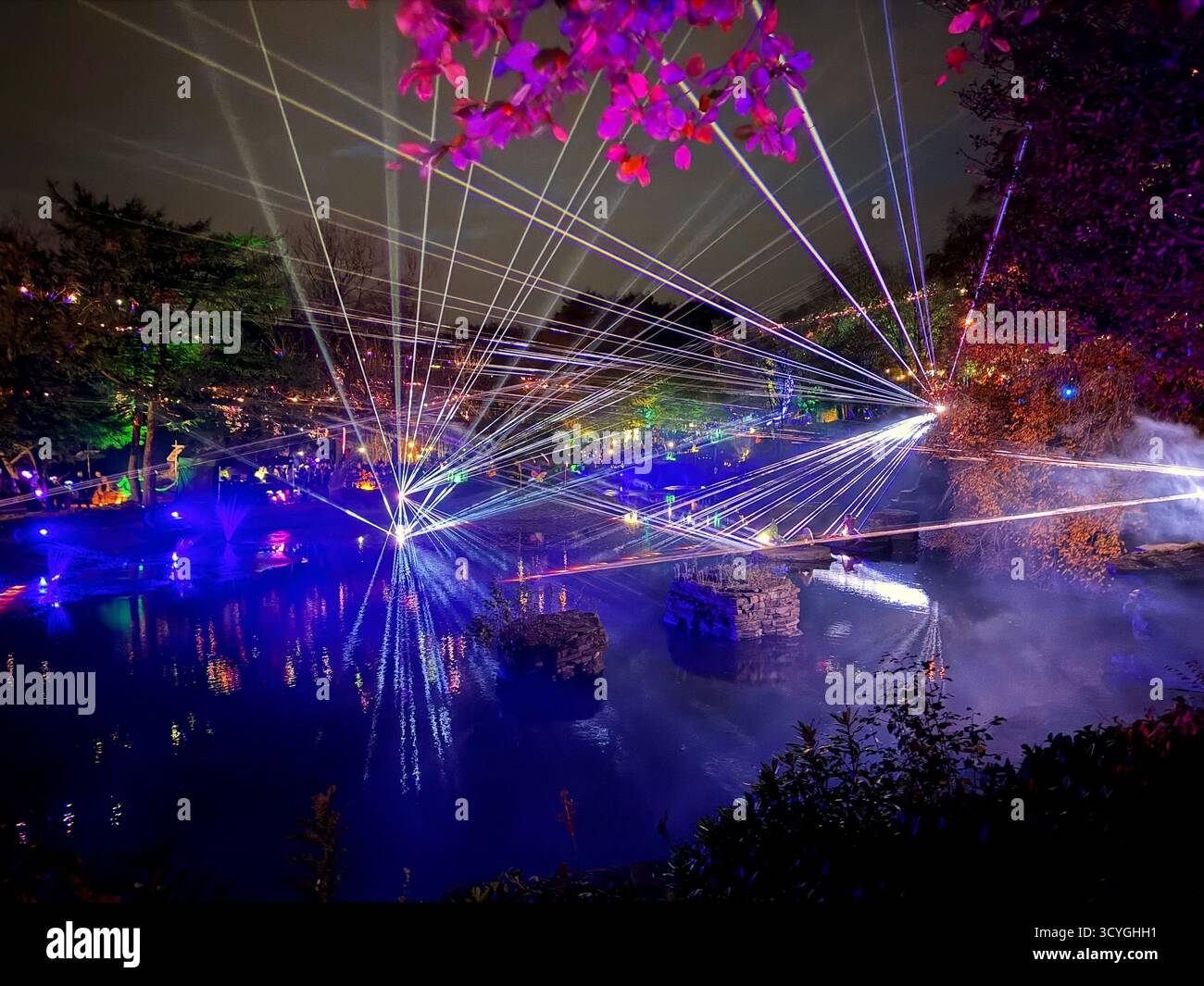 Light show of Rivington Festival of Light at the Japanese  Lake and Kitchen Gardens, near Chorley in Lancashire - Smartphone Captured Stock Image