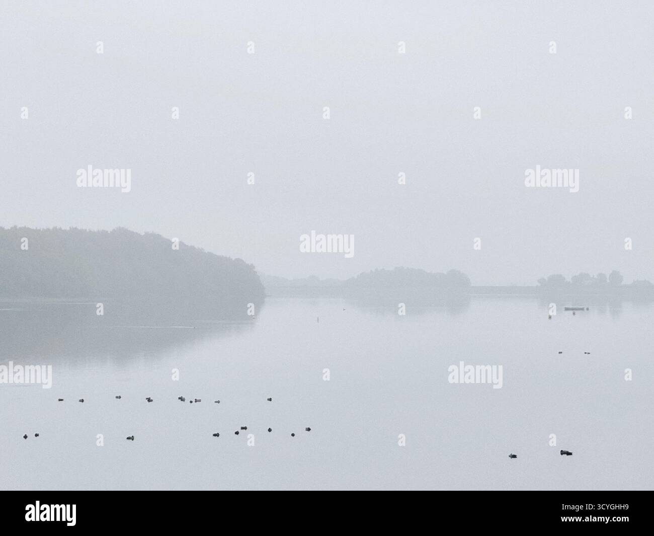 Reflection of trees on a foggy day at Rivington lower reservoir near Chorley in Lancashire - Smartphone Captured Stock Image