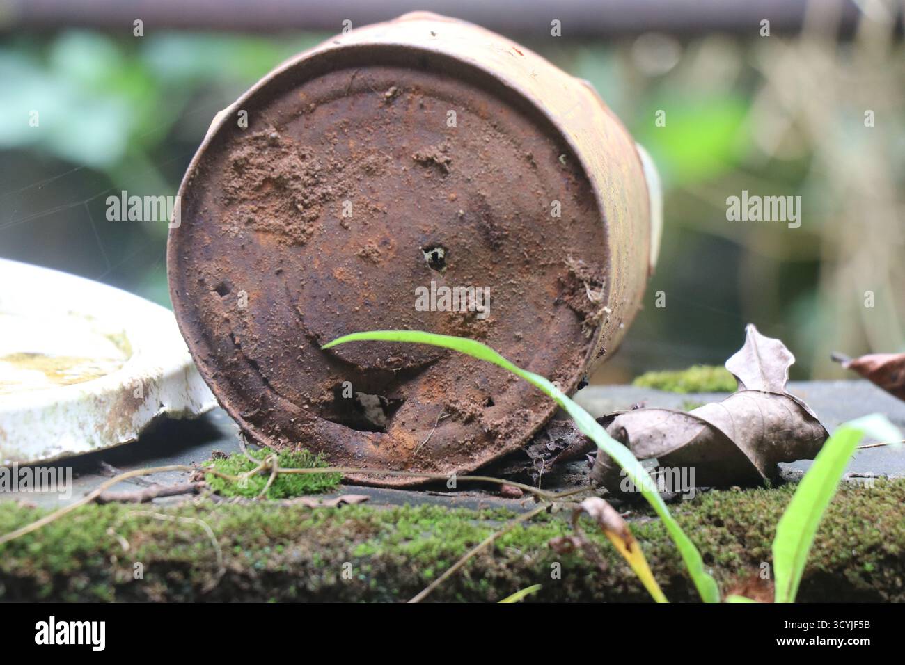 Rusty container on an outdoors that has been abandoned for a long time Stock Photo