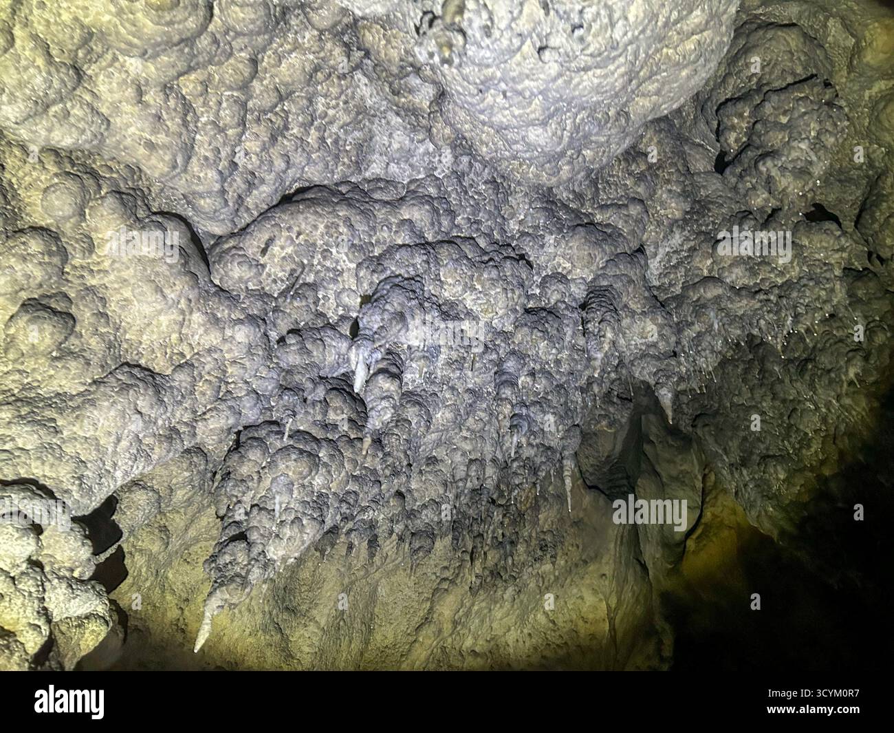 Unique limestone formations and stalactites on the ceiling of the Ice Cave in Uvac Canyon, Serbia, illuminated by artificial light. - Smartphone Captured Stock Image