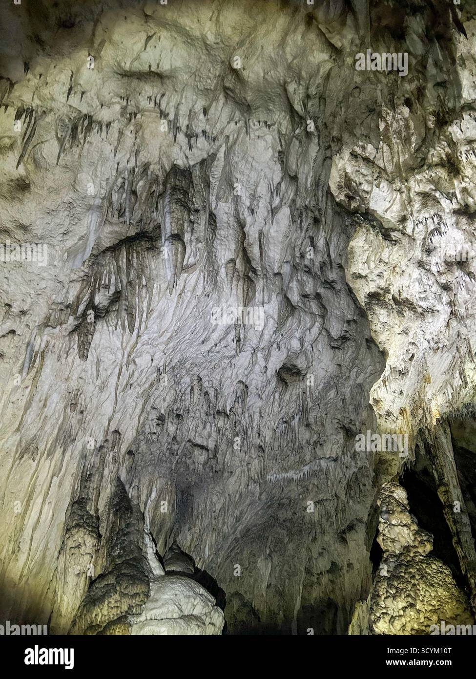 Impressive view of a cave ceiling filled with stalactites and natural rock formations, showcasing the beauty and complexity of underground geology. - Smartphone Captured Stock Image