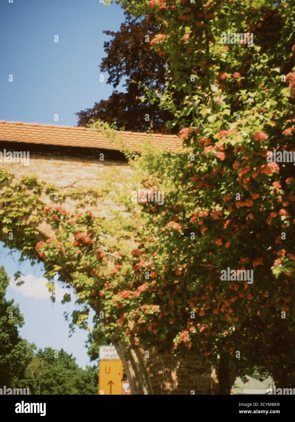 KostyaCoolish - Smartphone Captured Stock Image