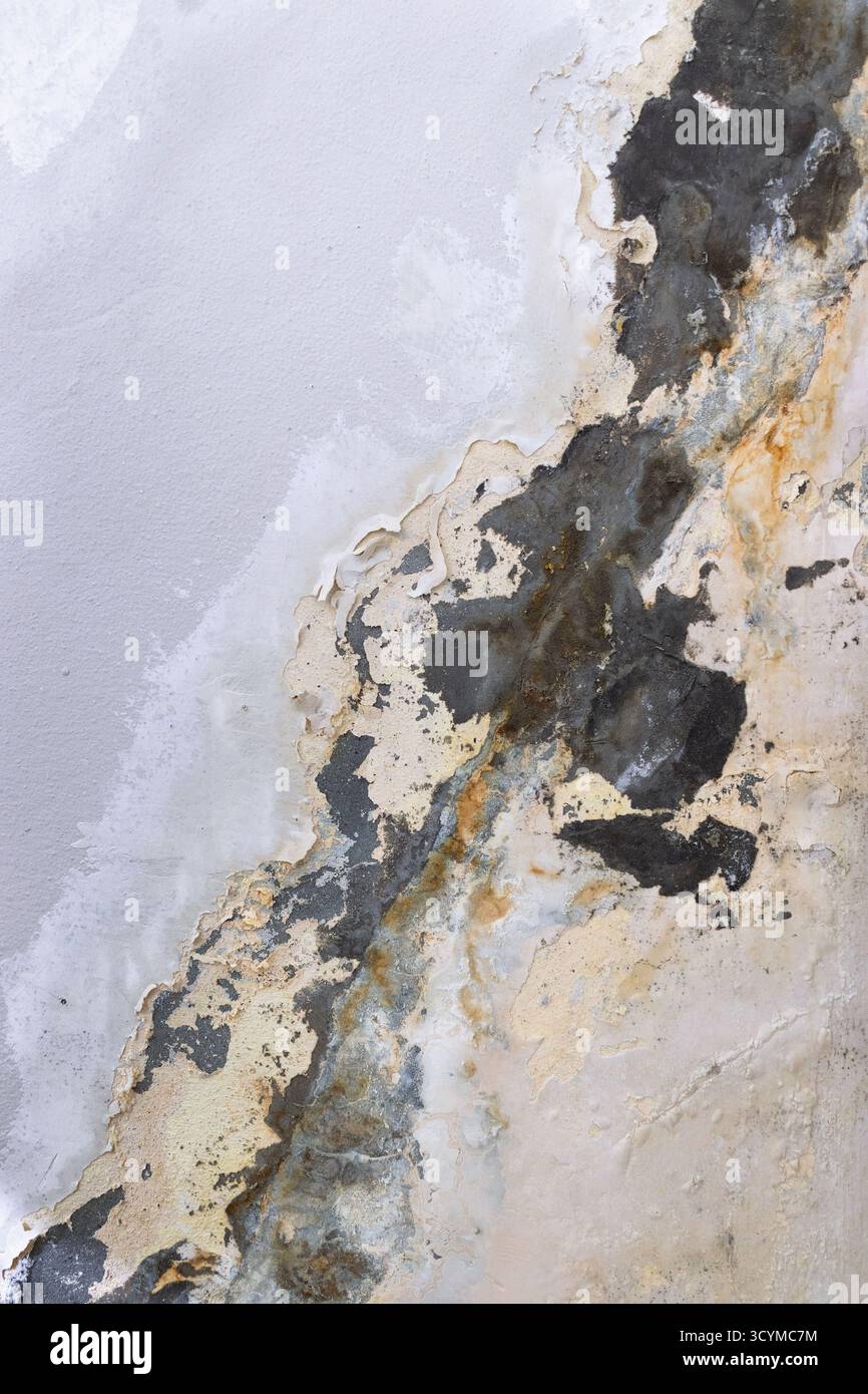 Old damp wall with peeling paint texture Stock Photo - Alamy