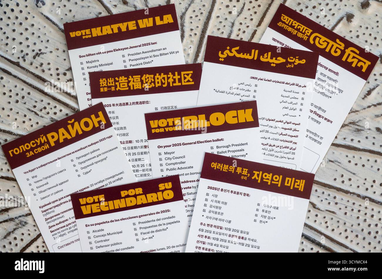 Informational voting flyers are available in various languages at the ...
