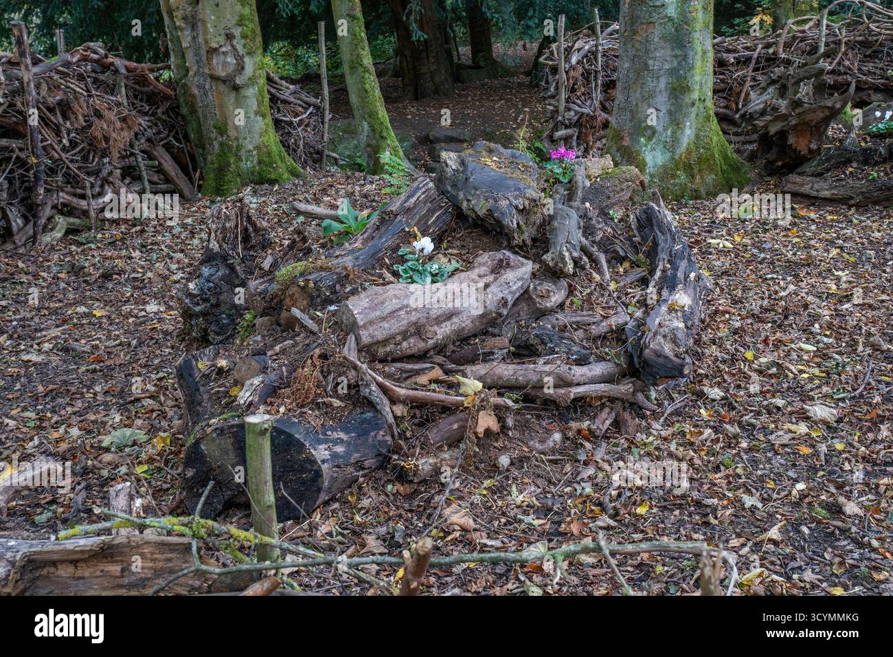 Pastures Lodge Pub and Hotel Wedding Venue | Prices \u0026 Costs | Bridebook, image size:1300x956